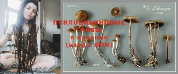 apvp Киреевск
