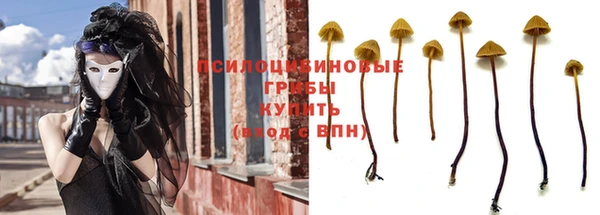 соль ск Кинешма