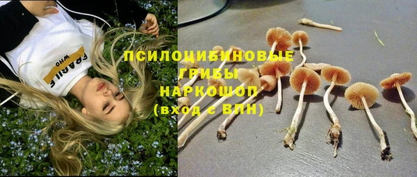 apvp Киреевск