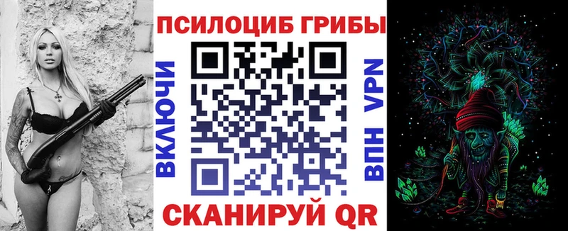 Псилоцибиновые грибы GOLDEN TEACHER  Купить где  Заполярный 